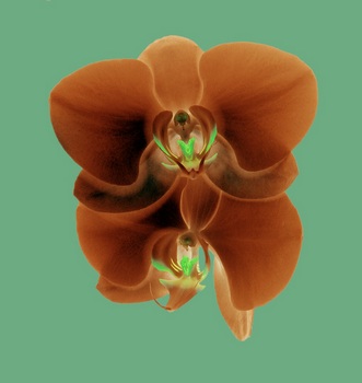 F 035E
